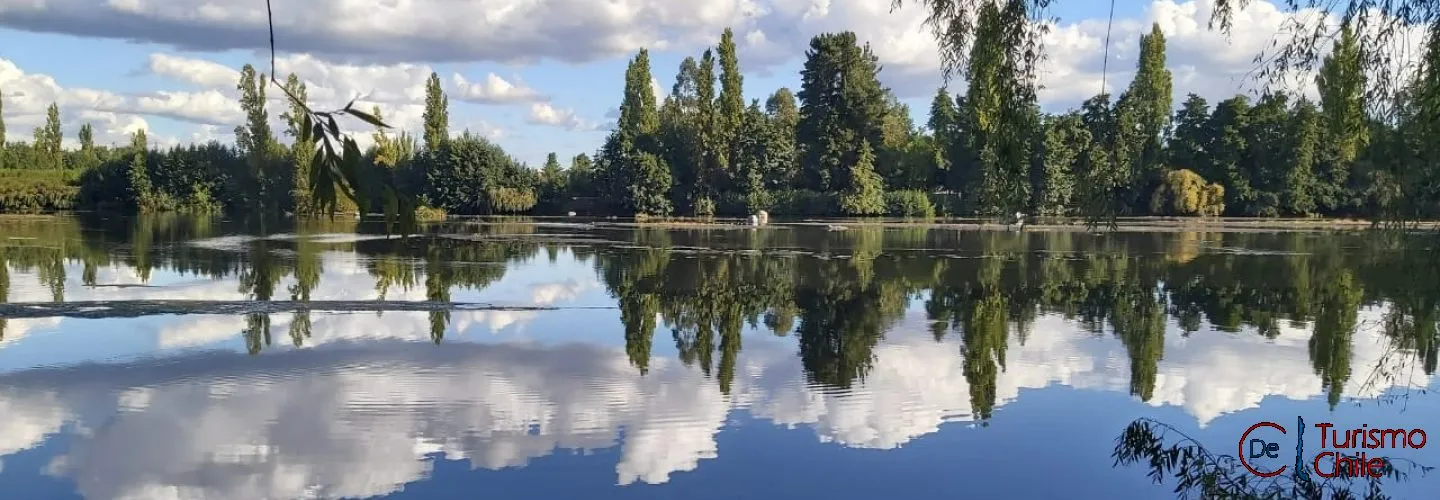 Vista panorámica del río Laja con árboles reflejados en el agua tranquila de Chillancito