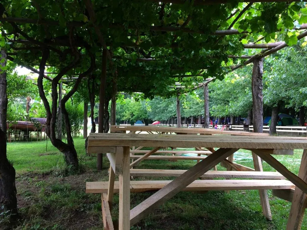 Sitios de camping con carpas y mesas bajo los árboles frondosos de Chillancito