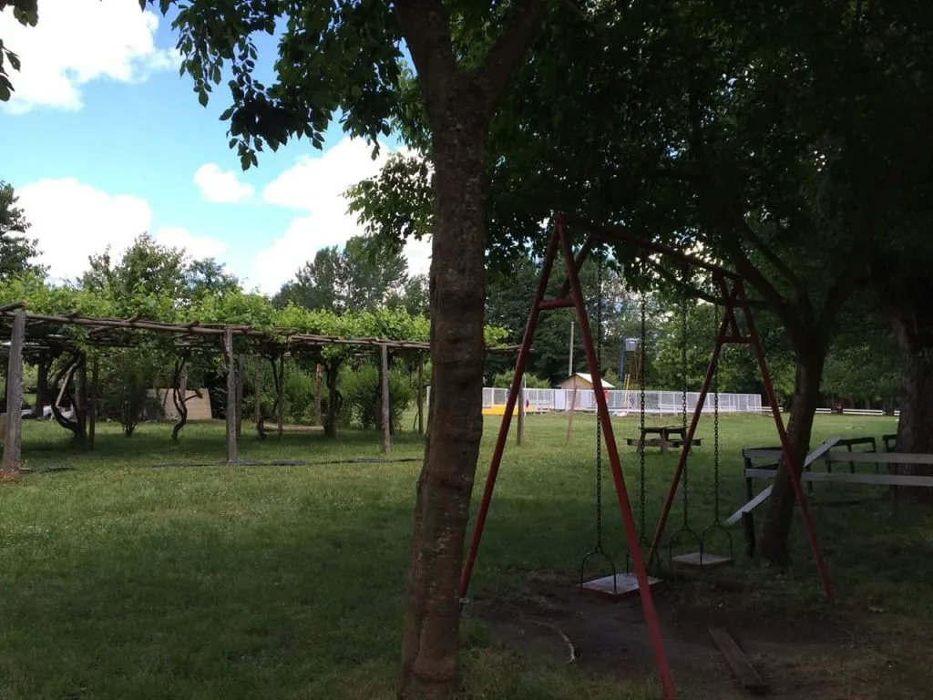 Carpas coloridas entre los árboles en el área de camping de Chillancito en pleno verano