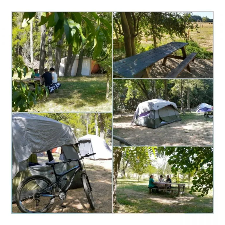 Asado familiar en el camping con visitantes alrededor de la parrilla en día soleado