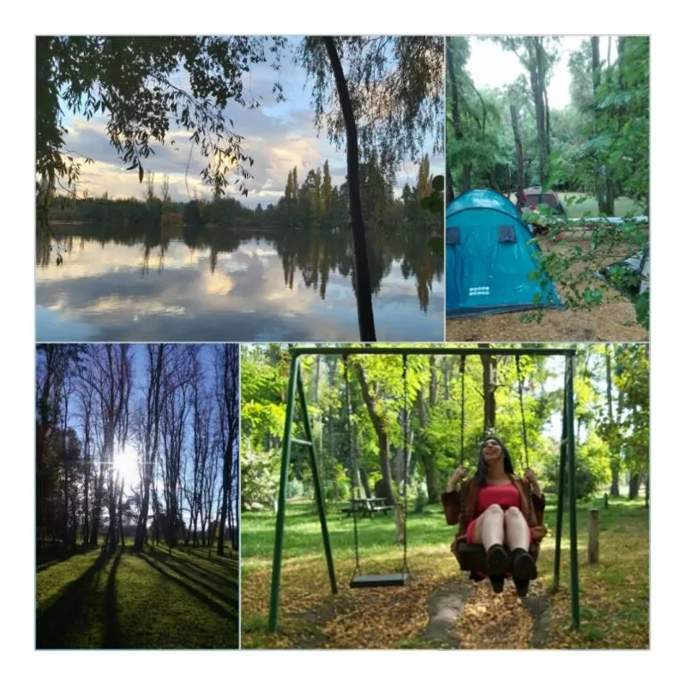 Vista del jardín del camping desde la terraza verde con frondosa vegetación nativa