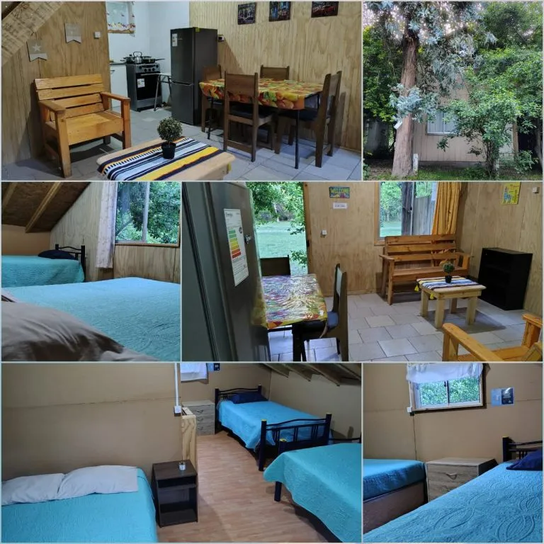 Vista general del camping con múltiples carpas coloridas entre los árboles en temporada alta