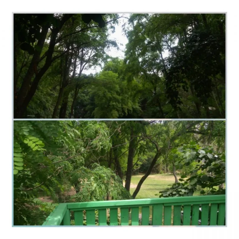 Amplia área verde del Camping Chillancito con mesas bajo los árboles junto al río Laja