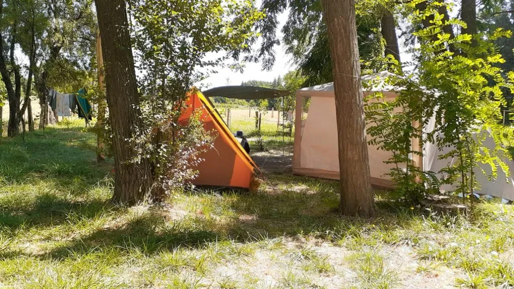 Mesas de picnic de madera distribuidas en el área verde del camping bajo los álamos