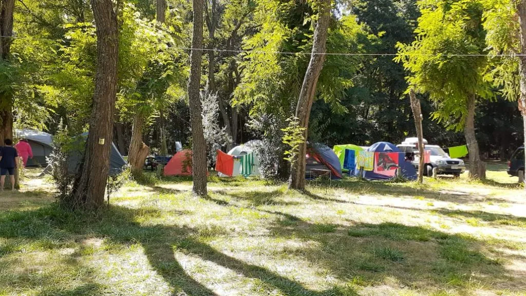 Atardecer con luz dorada entre los árboles del camping Chillancito junto al río Laja