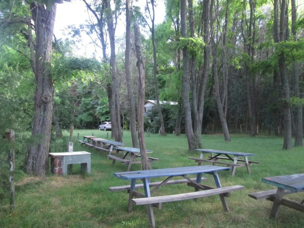 Juegos infantiles con columpios entre los árboles y área verde del camping Chillancito